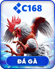 Đá gà trực tuyến S88VIP